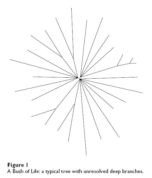 Koonin Unresolved Polytomy