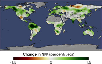 NPP Change