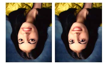 Tania Illusion