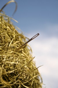 The proverbial needle in the haystack
