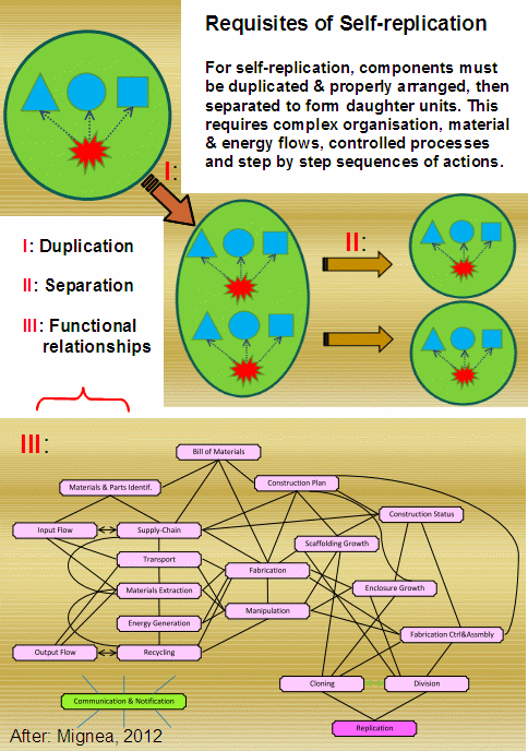 Fig. A: Mignea's schematic of the requisites of kinematic self-replication, showing duplication and arrangement then separation into daughter automata. This requires stored algorithmic procedures, descriptions sufficient to construct components, means to execute instructions, materials handling, controlled energy flows, wastes disposal and more. (Source: Mignea, 2012, slide show; fair use.