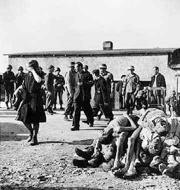 Buchenwald01