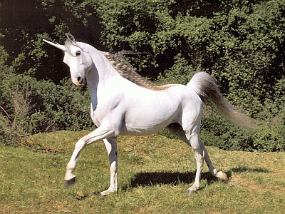 A unicorn, a possible being (HT: Baggins Book Blogger, Blogspot)