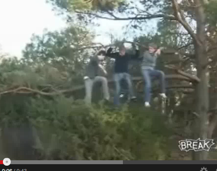 Sawing off the branch on which one is sitting . . .  [HT: YT]