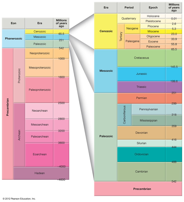 geological timescales