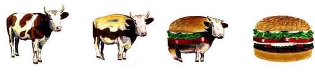 cow hamburger