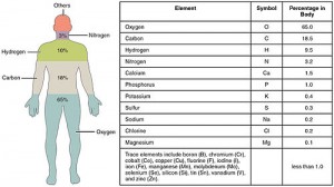 201_Elements_of_the_Human_Body-01