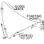 Boomerang