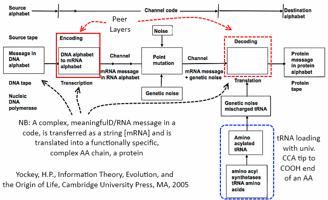 Yockey's analysis of protein synthesis as a code-based communication process